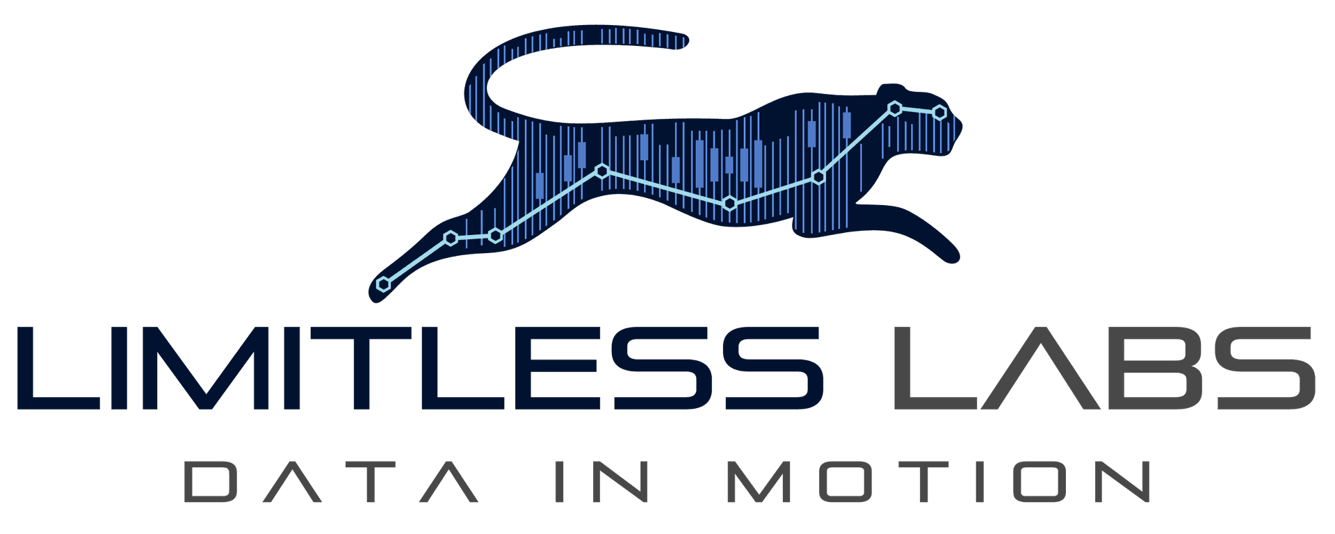 Limitless Labs — Data in Motion